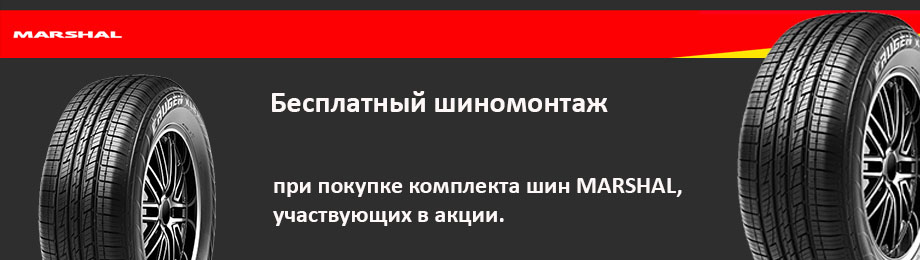 Купить шины на лесопильной в спб шины на 195х65х16в спб купить