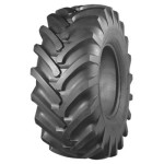 ИЯВ-79